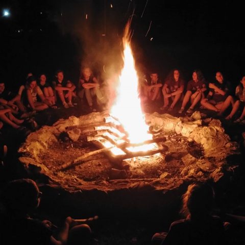 LOGOROVANJE “BRAČANA 2023”