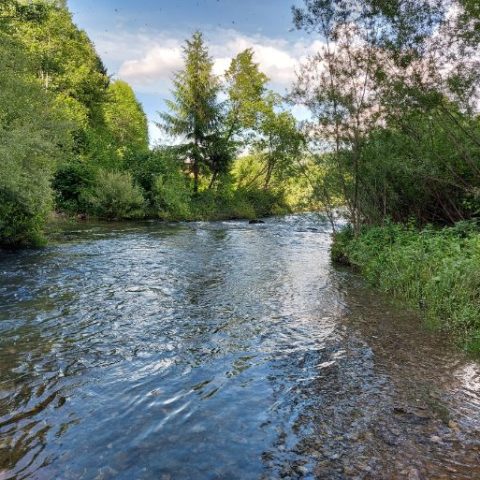Idemo na logorovanje