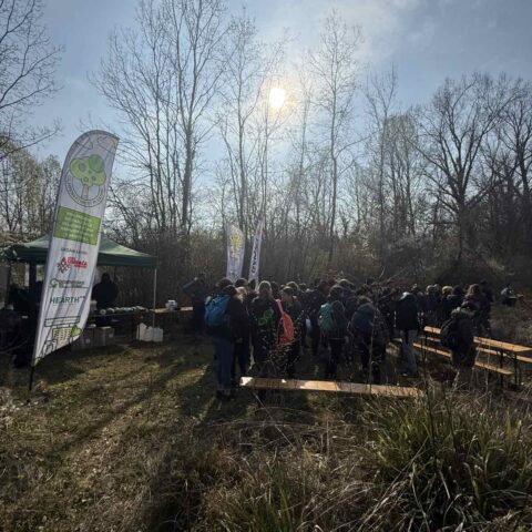 21. ožujka – Međunarodni dan šuma 💚